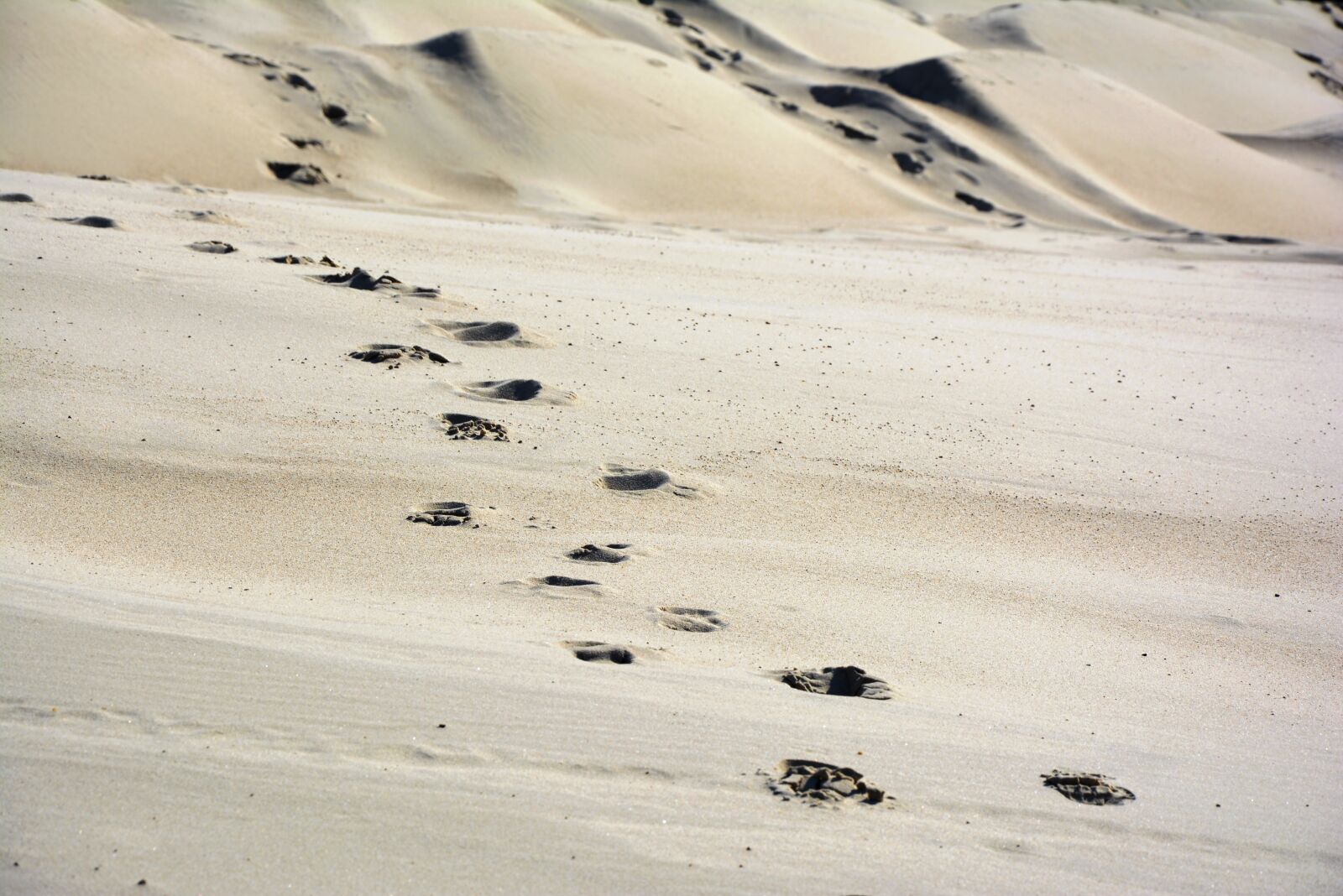 Nikon D5200 sample photo. Sand, the sand dunes photography