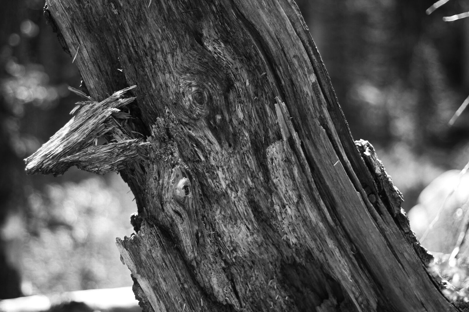 Canon EOS 7D sample photo. Colorado, blue lake, lake photography