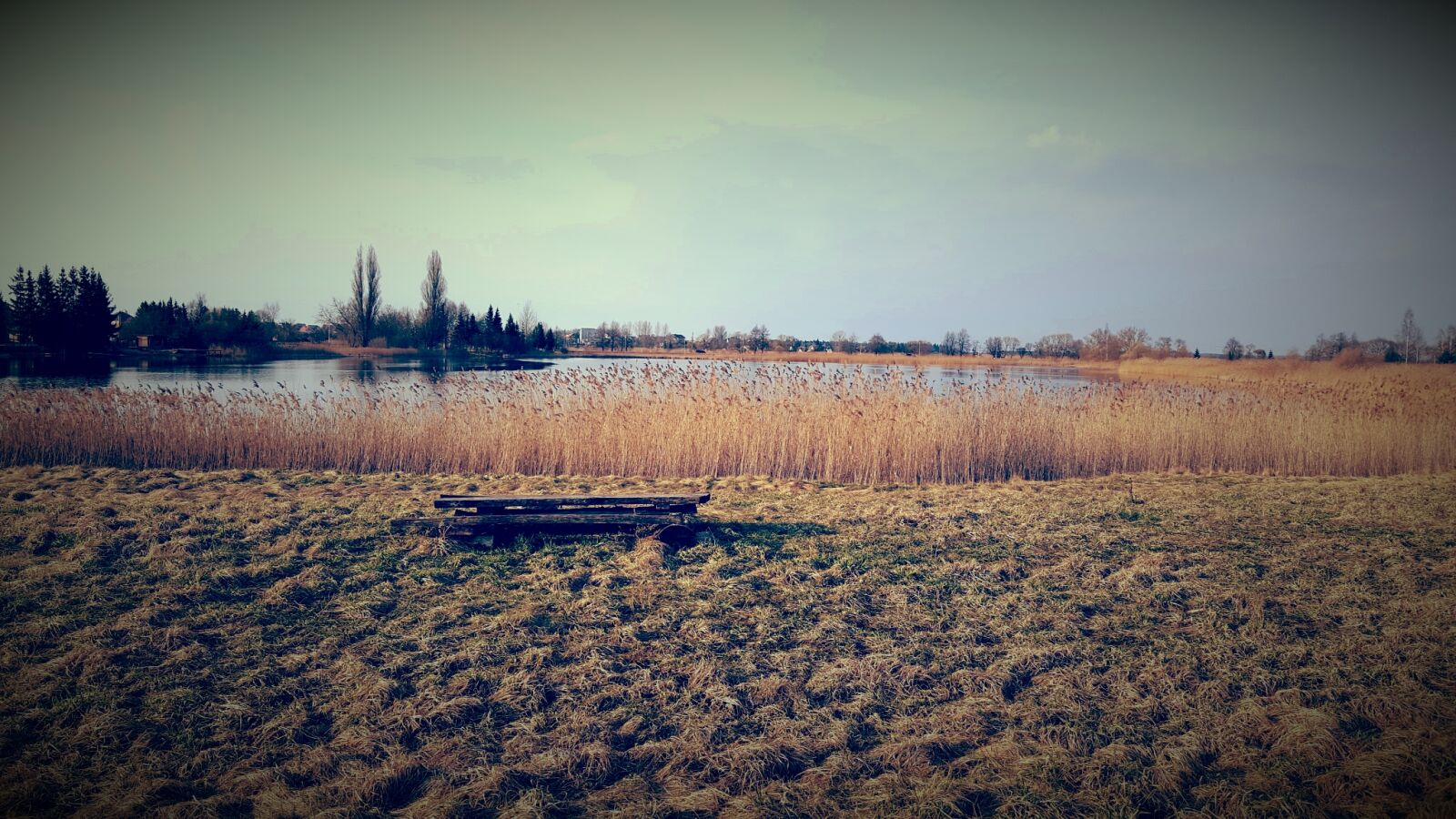 Samsung GALAXY S6 edge sample photo. Brown, grass, field, on photography