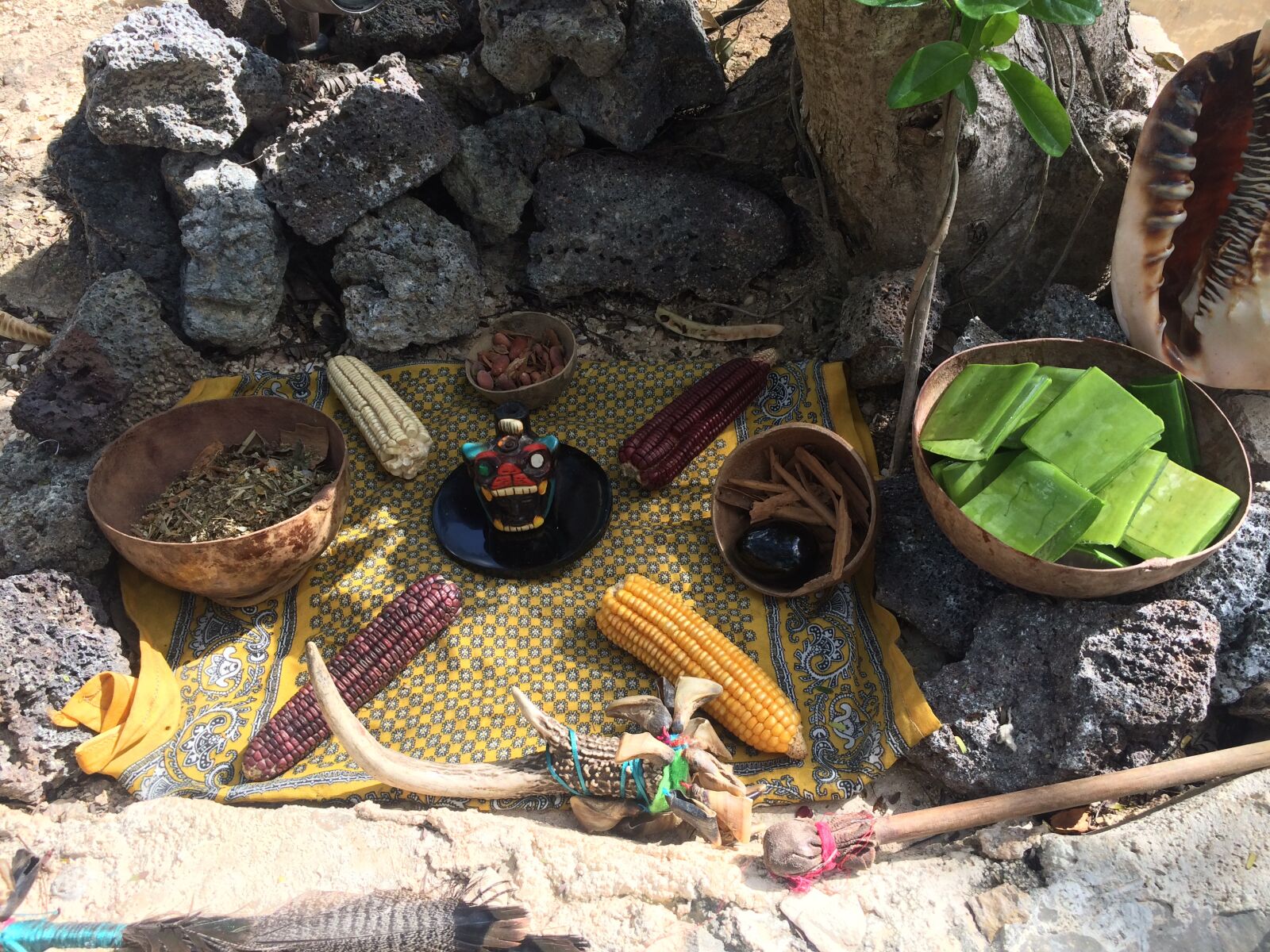 iPhone 5s back camera 4.15mm f/2.2 sample photo. Offering, ofrenda, maiz photography