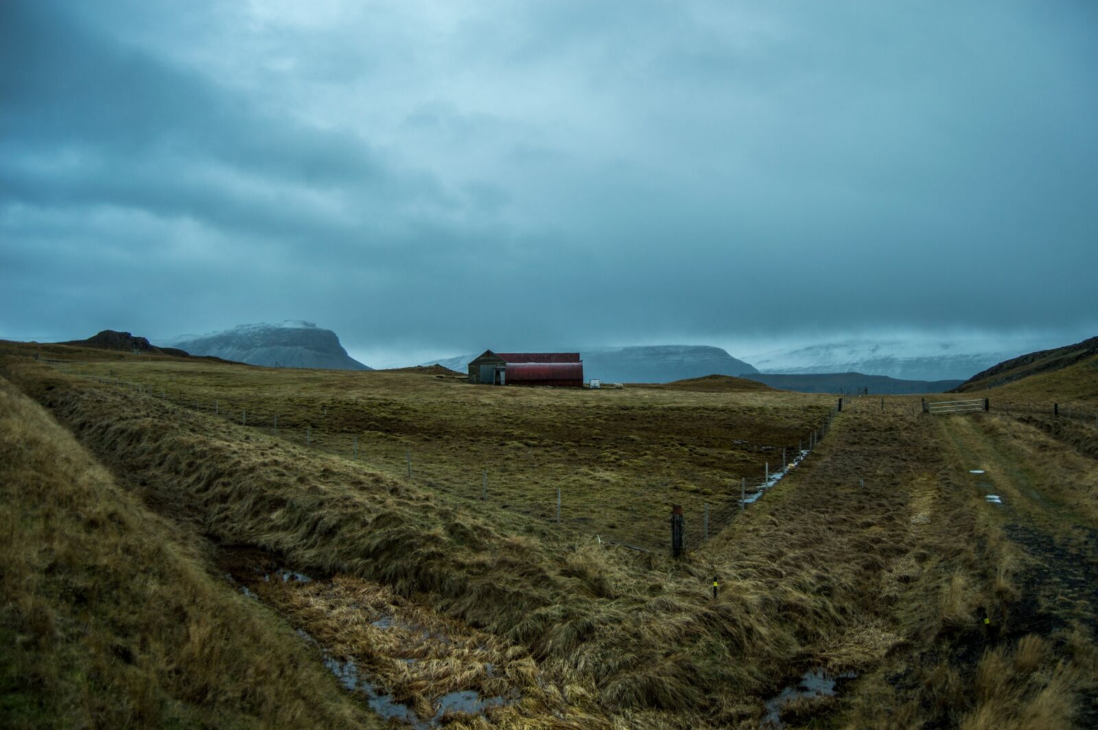 Nikon D3200 sample photo. Iceland, pastures, cold photography