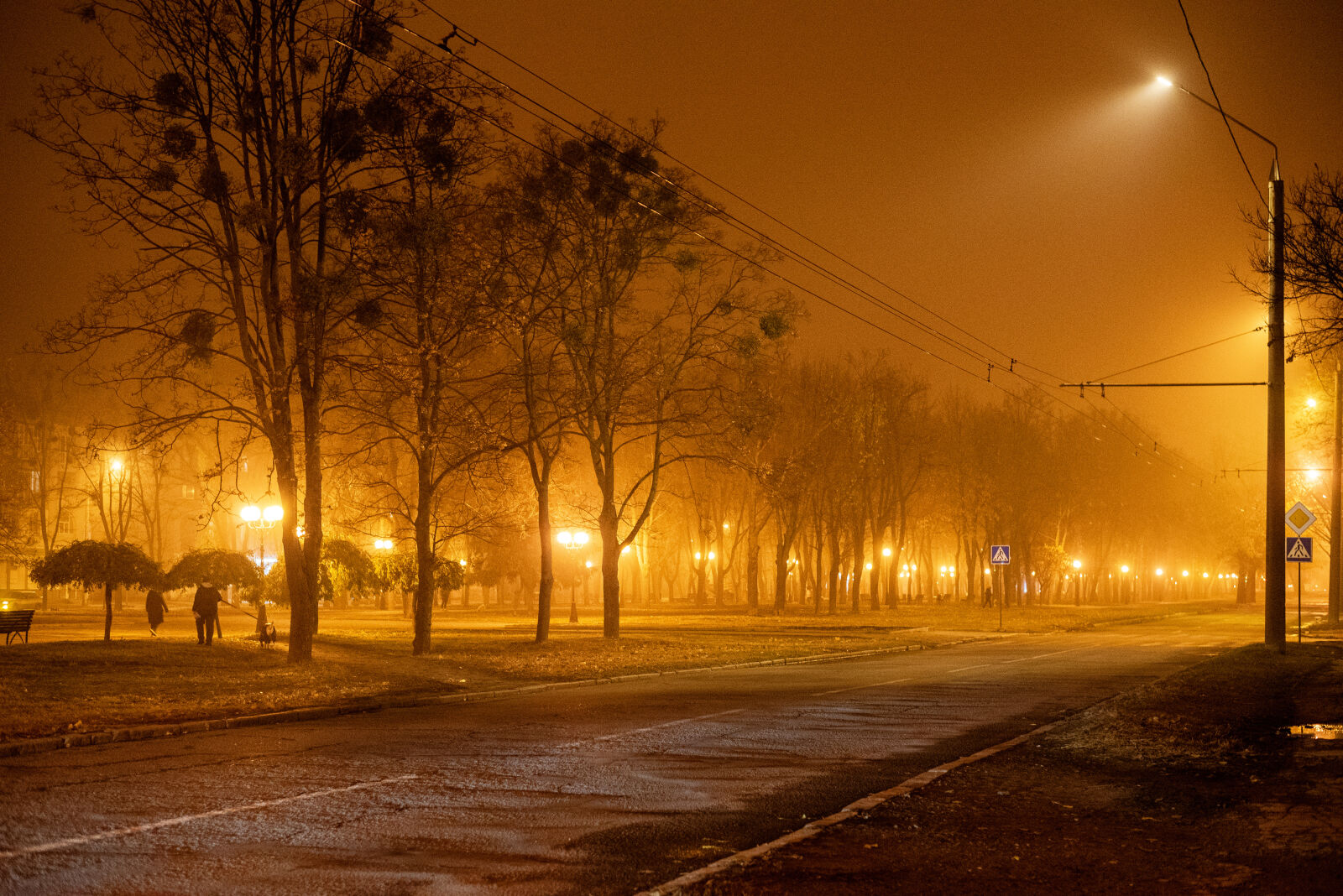 Nikon D750 sample photo