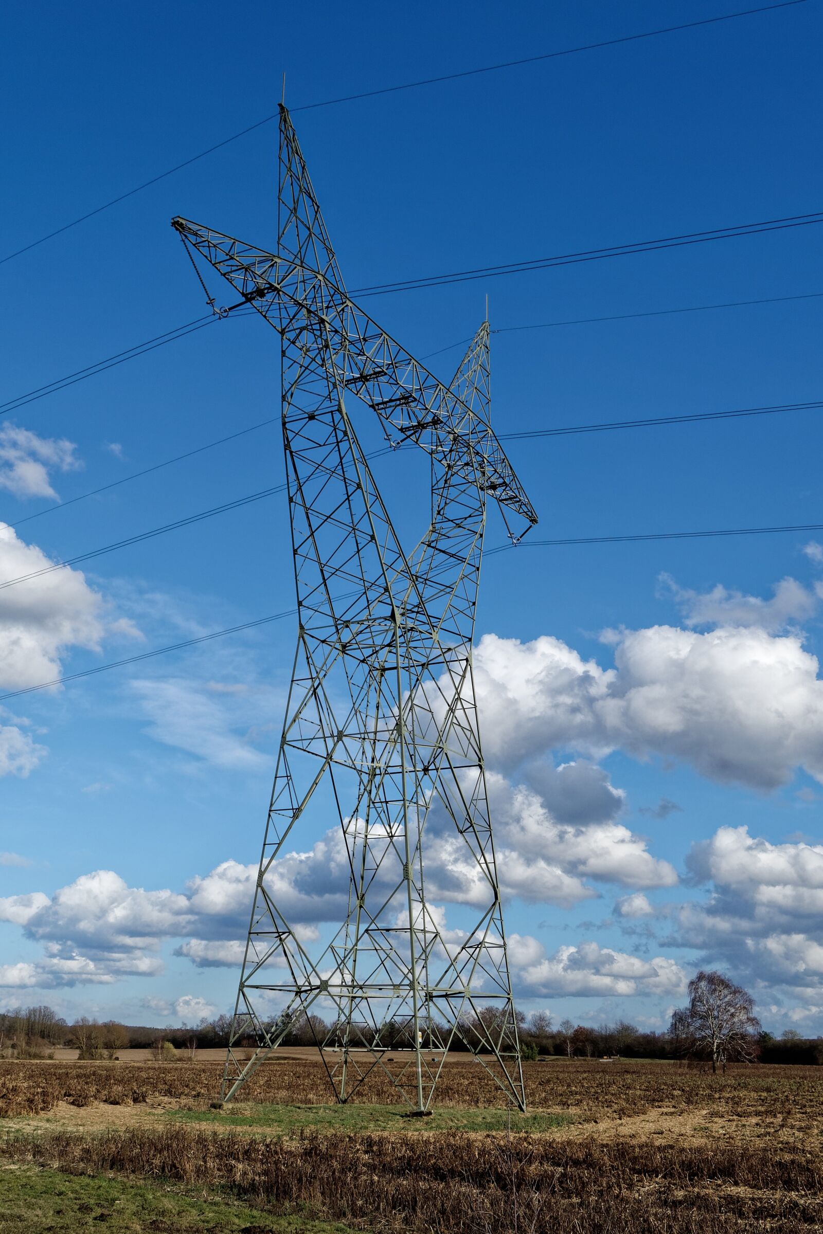 Sony Cyber-shot DSC-RX100 sample photo. Strommast, current, pylon photography