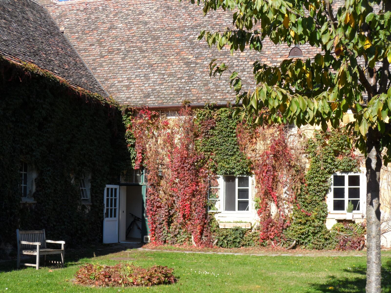 Samsung ST200 / ST200F / ST201 / ST201F / ST205F sample photo. Country house, wine leaf photography