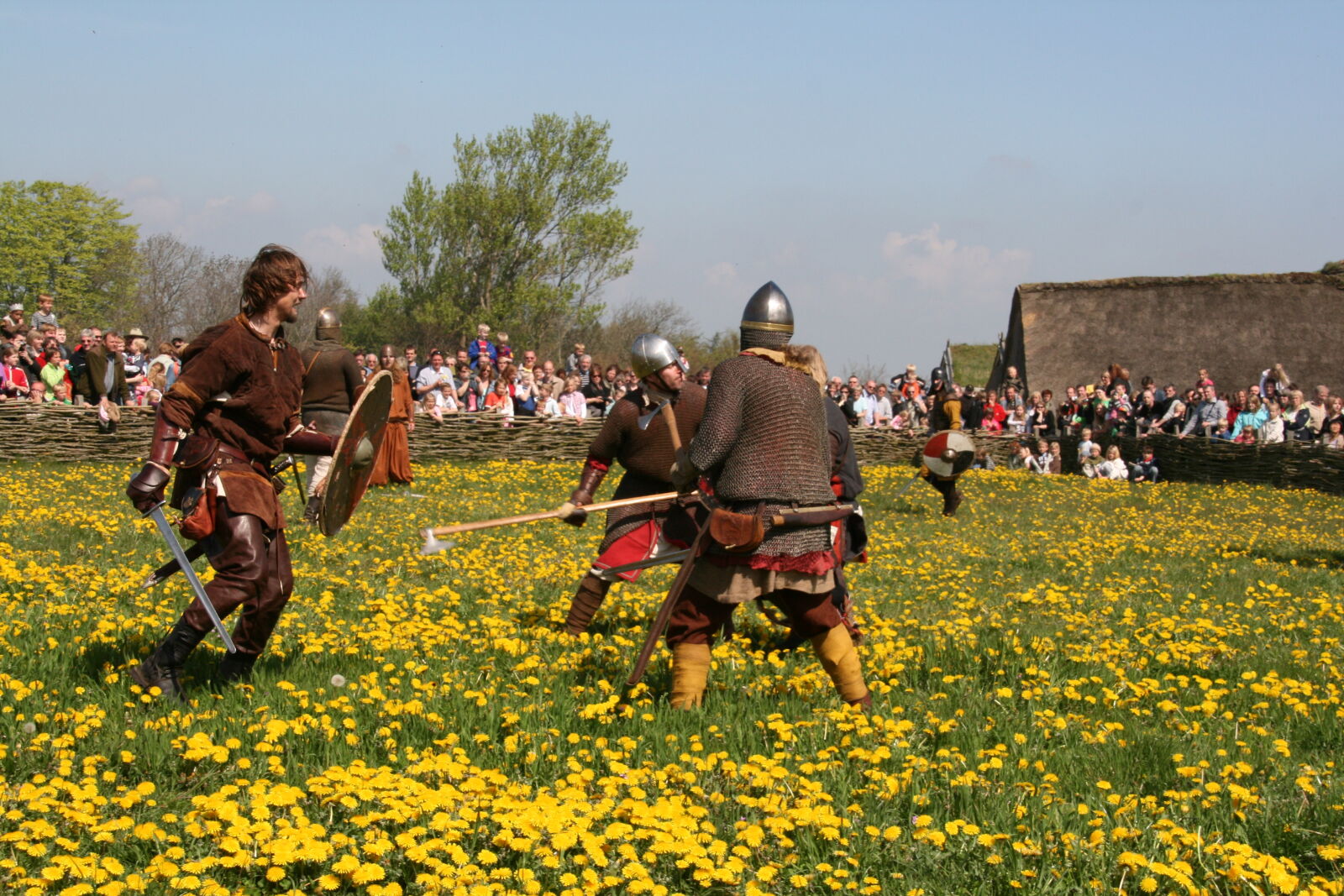 Sigma 18-200mm f/3.5-6.3 DC OS sample photo. Vikings photography