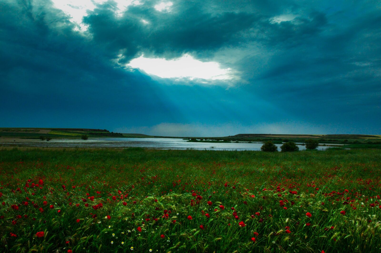 Nikon D3200 sample photo. Highlights, light, landscape photography