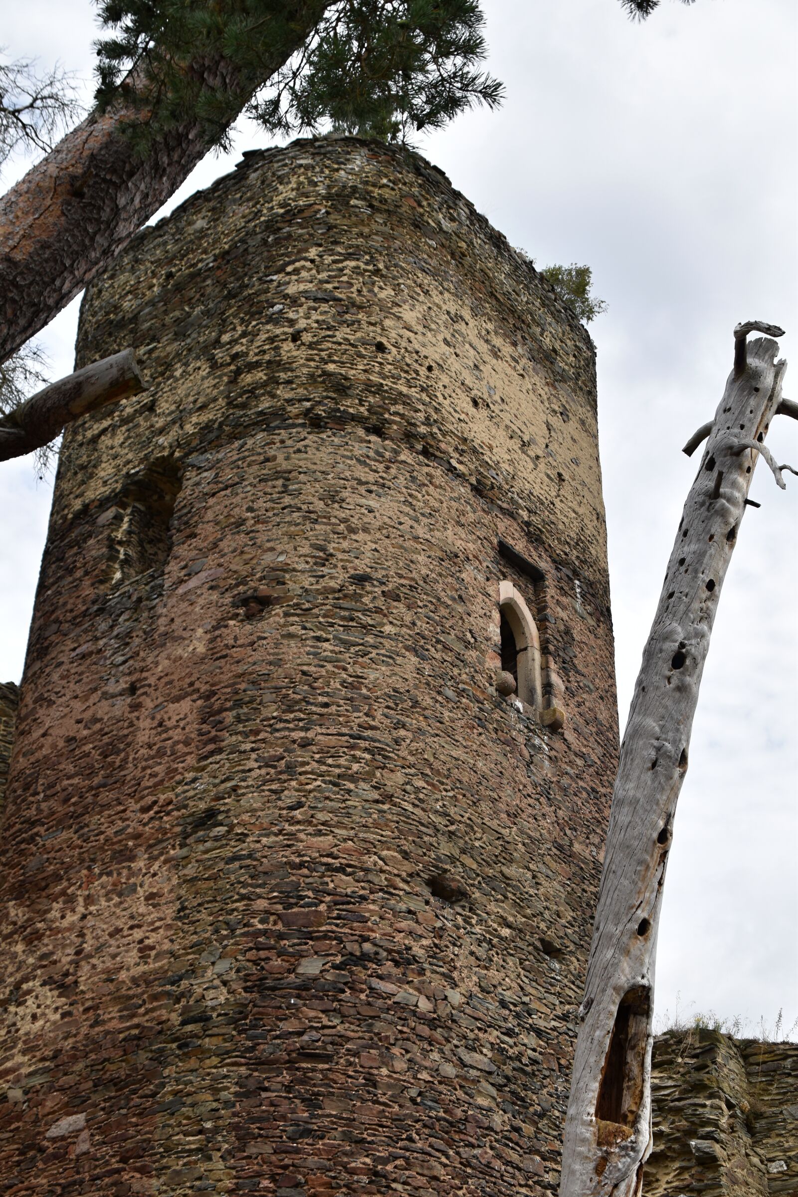 Nikon D3500 sample photo. Castle, rock, forest photography