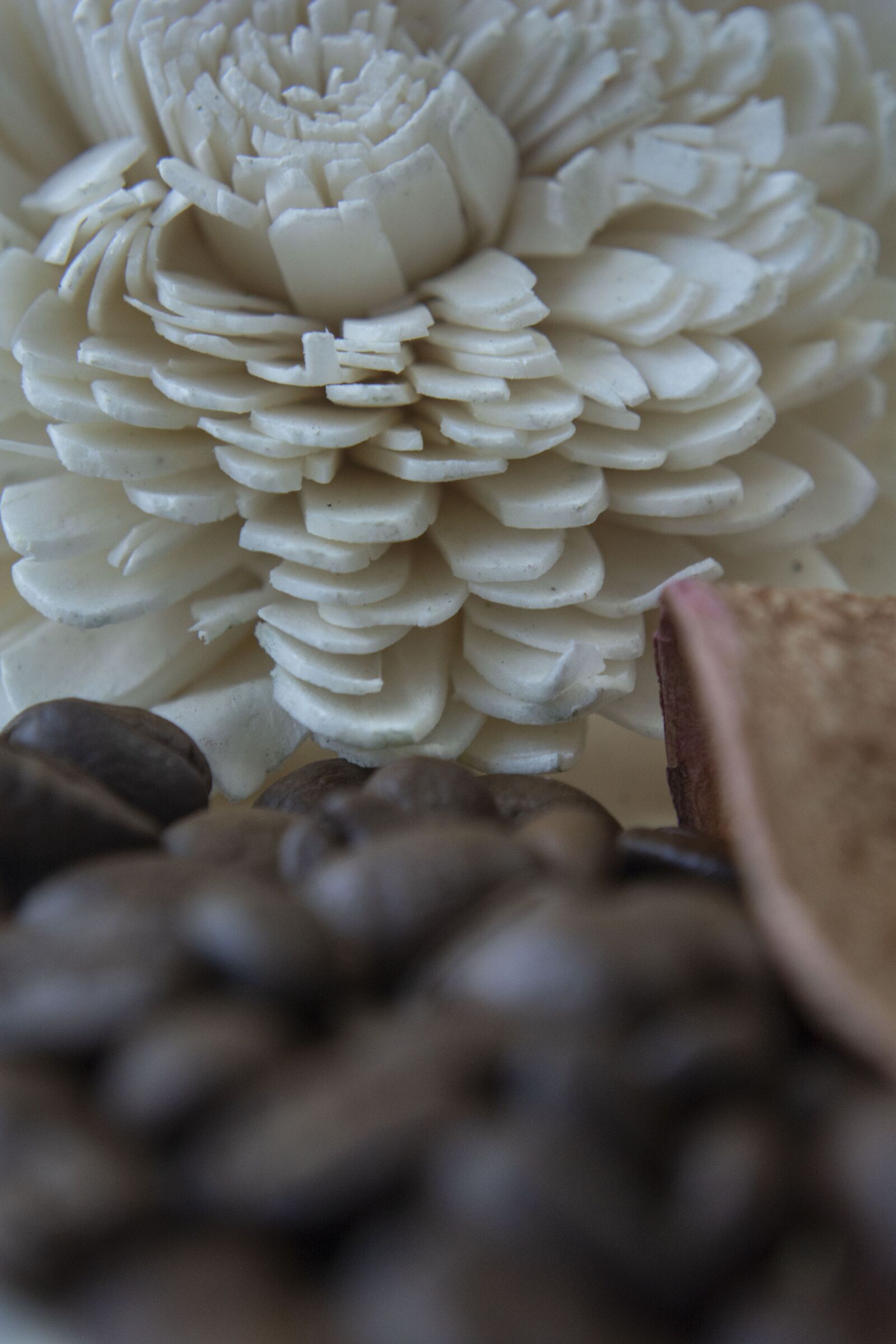 Nikon D5200 sample photo. Coffee, macro, photo photography