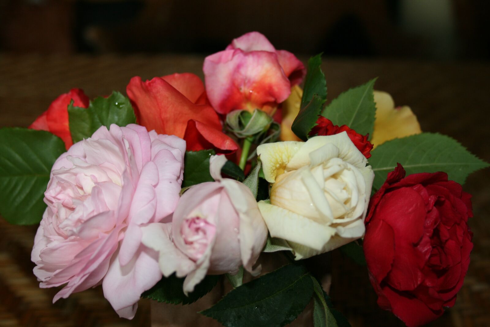 Canon EOS 400D (EOS Digital Rebel XTi / EOS Kiss Digital X) sample photo. Roses, table, still life photography