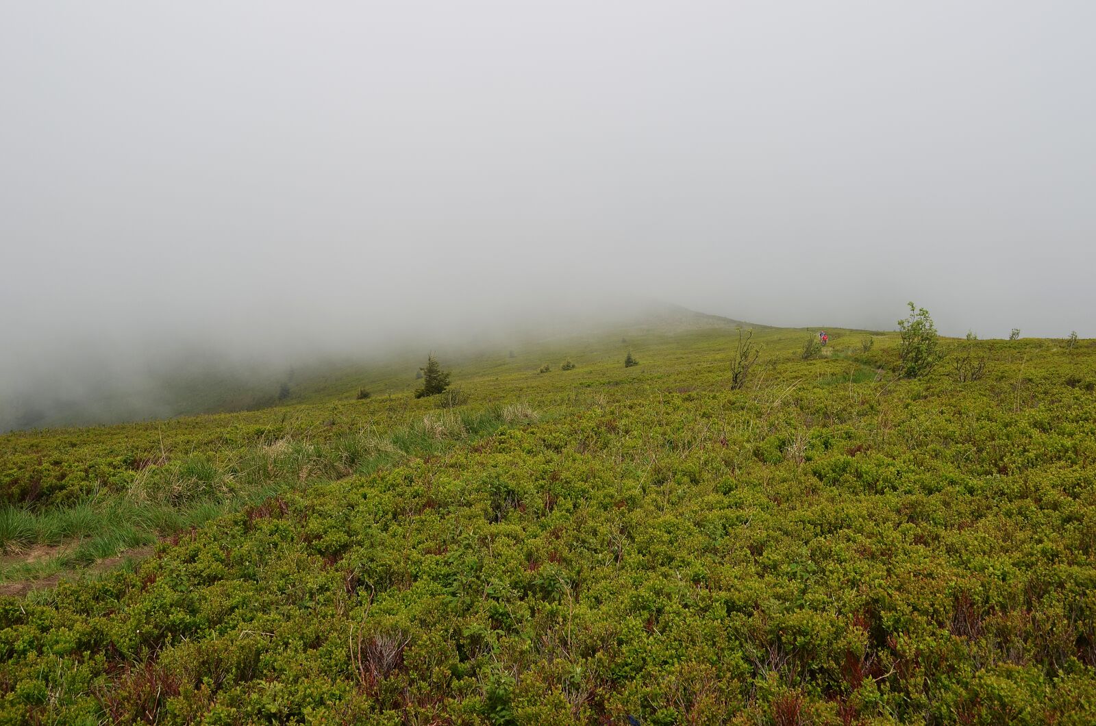 Nikon D5100 sample photo. Landscape, mountains, nature photography