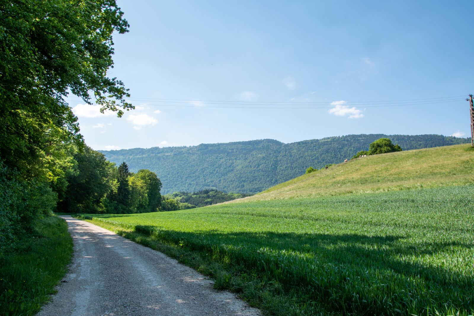 Nikon D5500 sample photo. Landscape, rural, nature photography