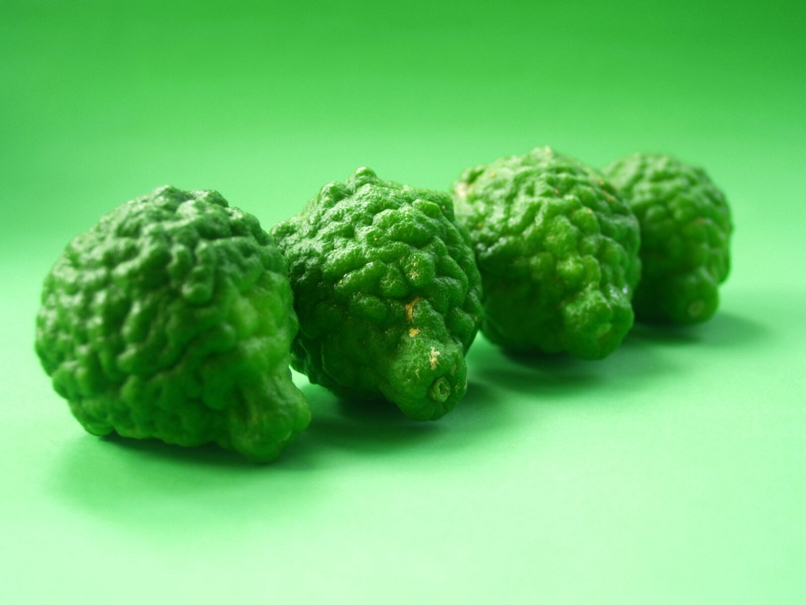 Olympus E-300 (EVOLT E-300) sample photo. Bergamot, fruit, leaf photography