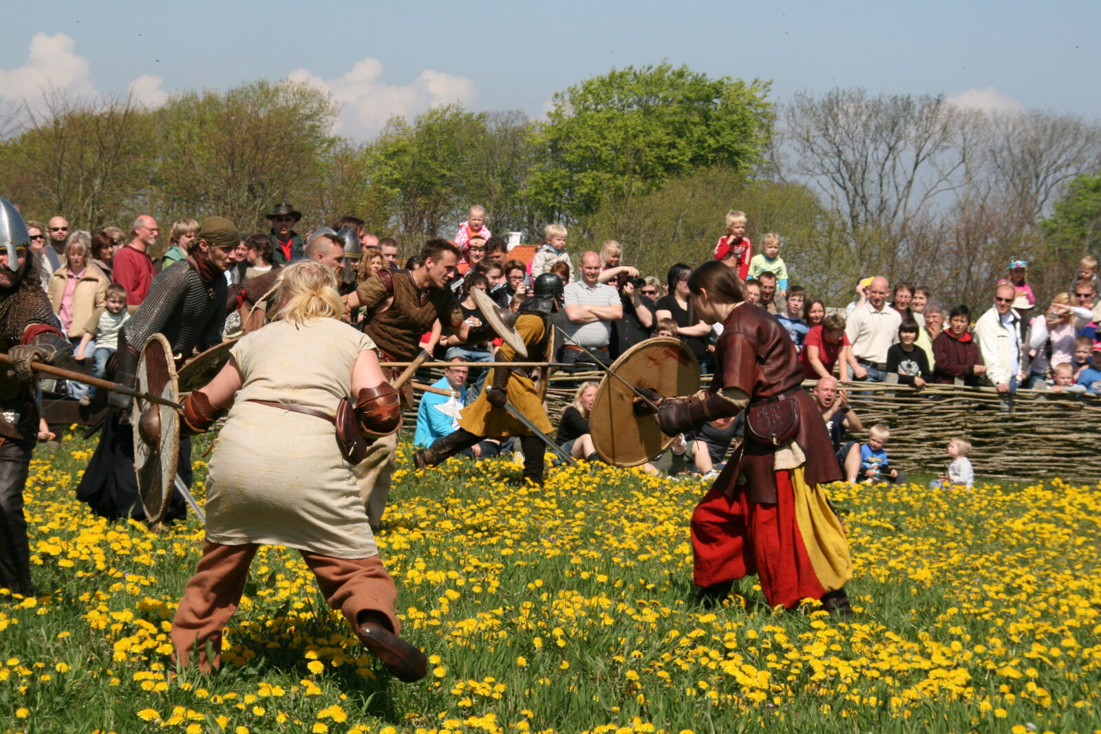 Sigma 18-200mm f/3.5-6.3 DC OS sample photo. Vikings photography