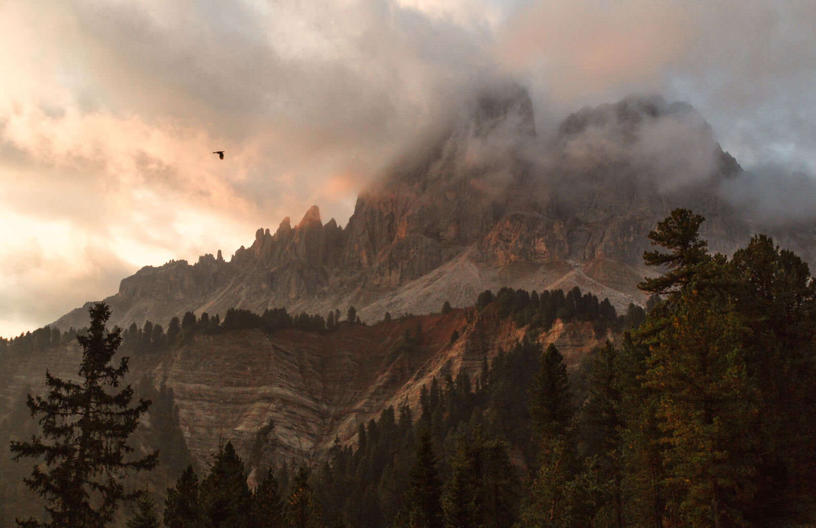 Canon EOS 70D sample photo. Mountain, surrounded, with, trees photography