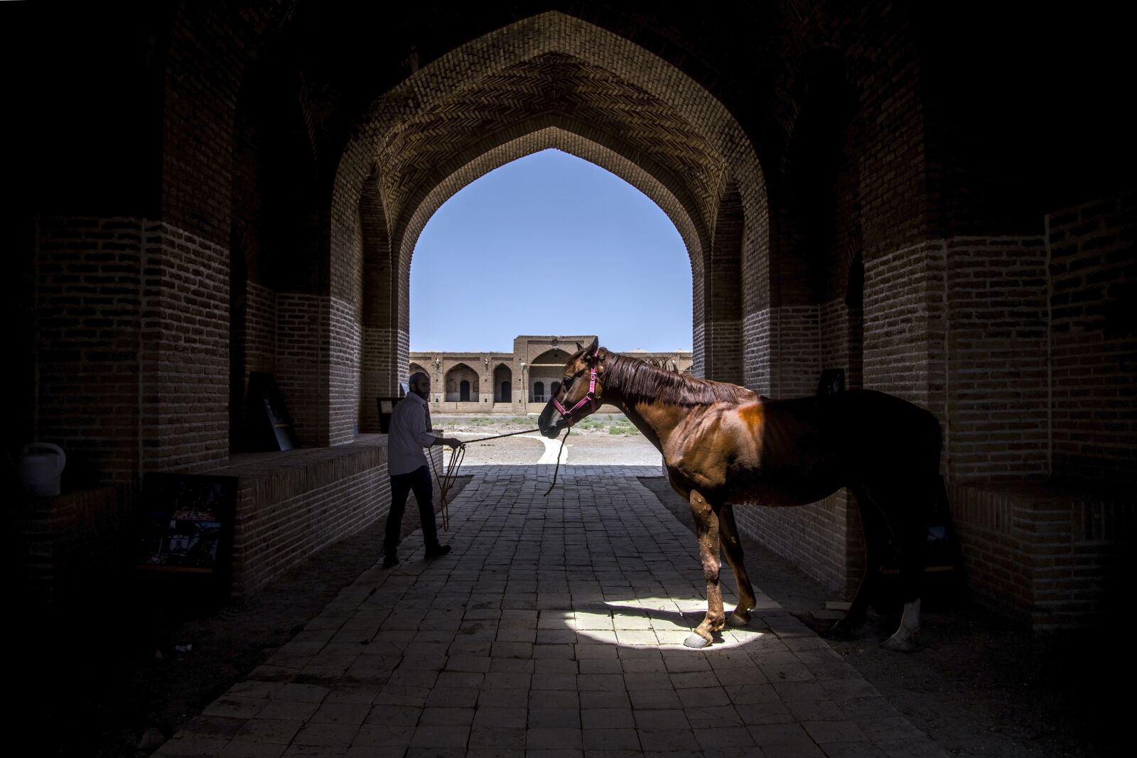 Canon EOS 6D + Canon EF 24-105mm F4L IS USM sample photo. Caravansary, horse, man photography