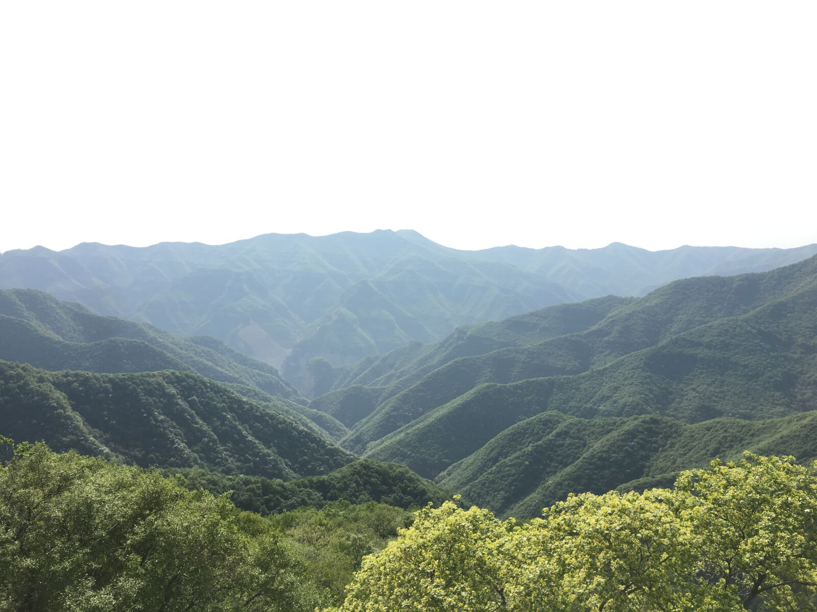 Apple iPhone 6s sample photo. Peak, the scenery, green photography