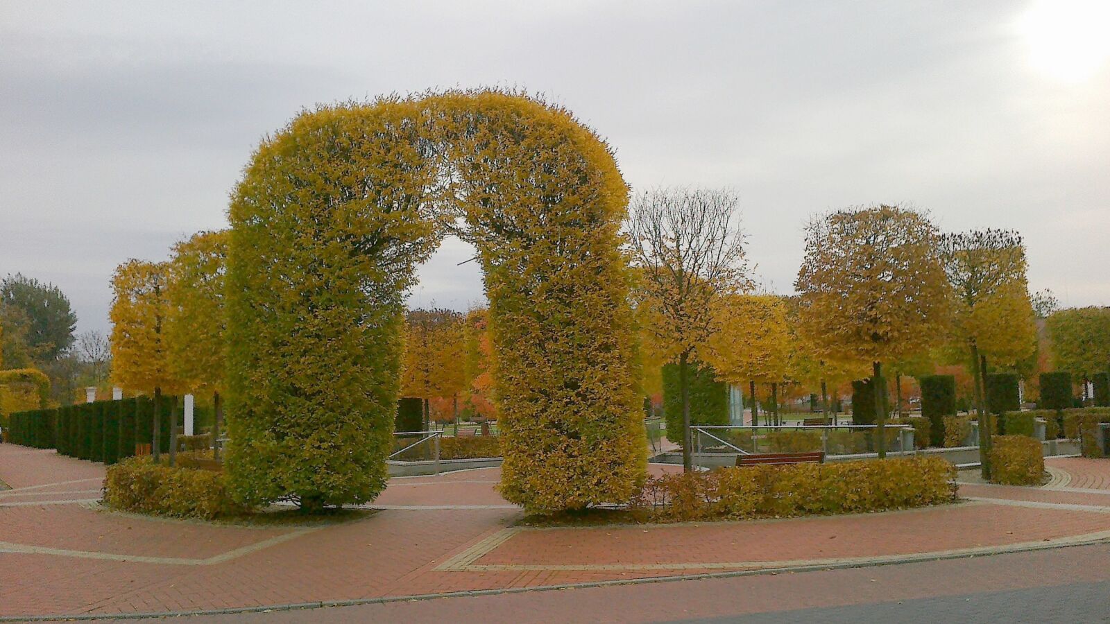 Nokia 500 sample photo. Autumn, park, yellow photography