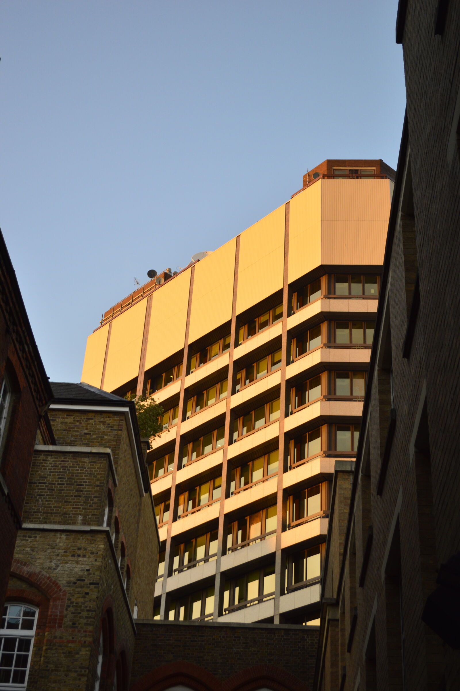 Nikon D3200 sample photo