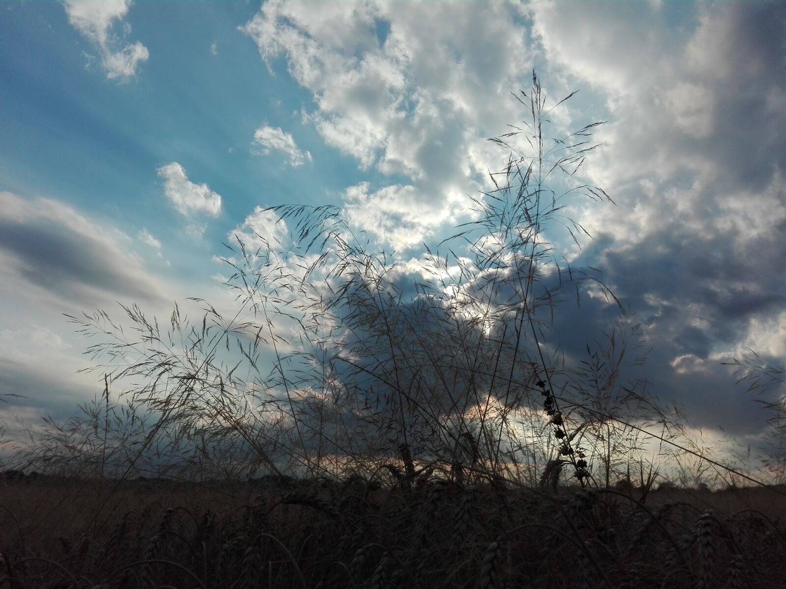 HUAWEI P8 Lite sample photo. Landscape, sky, meadow photography