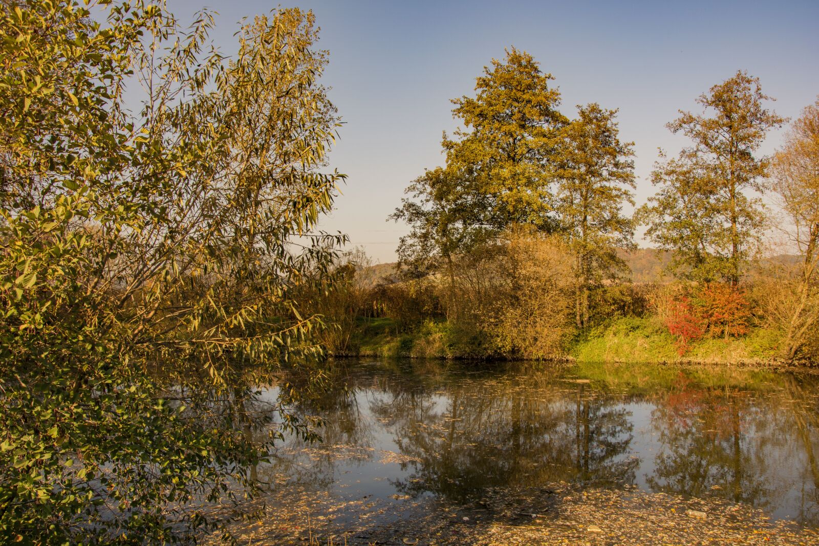 Nikon D5200 sample photo. Nature, autumn, golden autumn photography