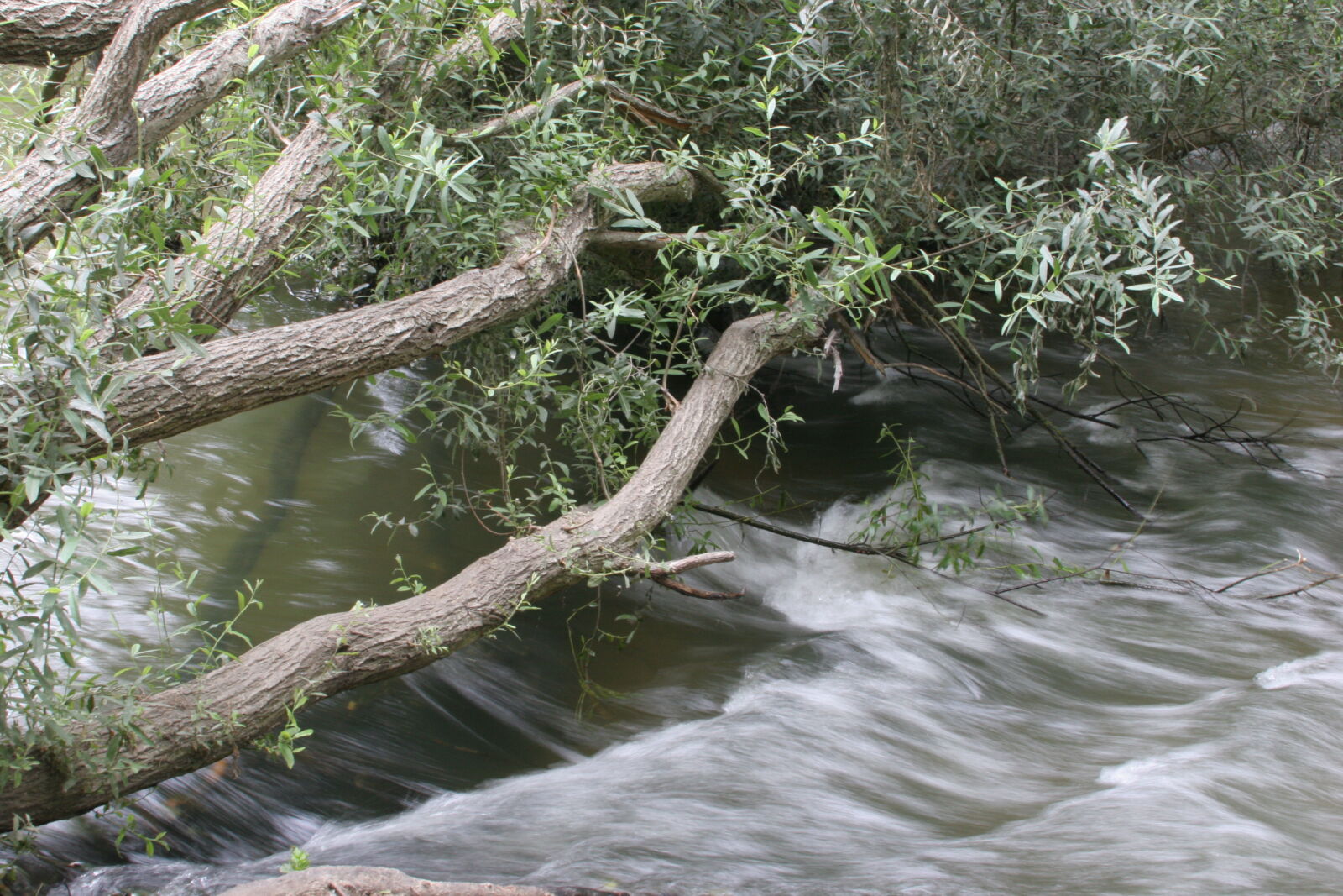 Canon EOS 20D sample photo