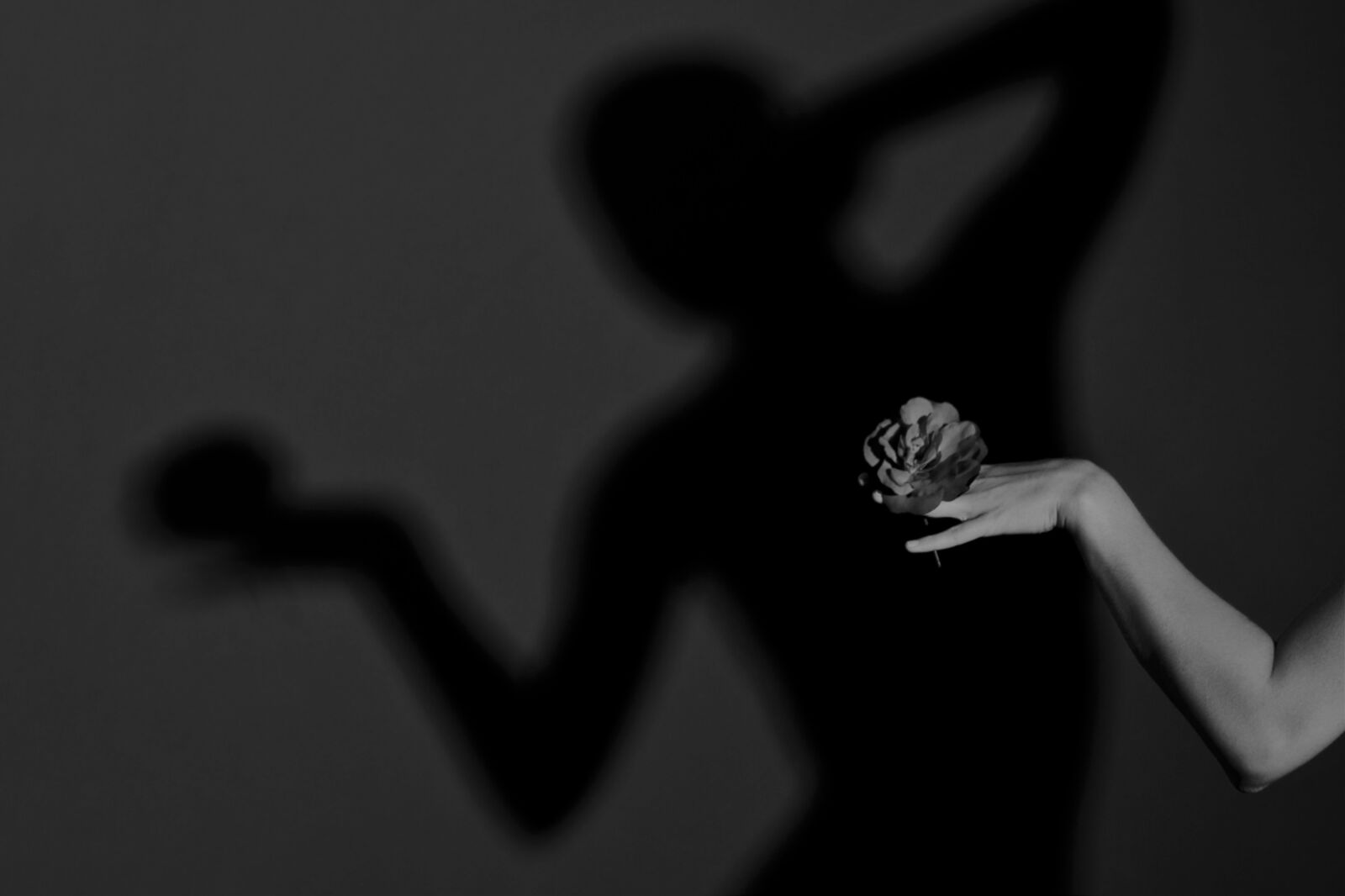 Nikon D700 sample photo. Shadow, woman, romance photography