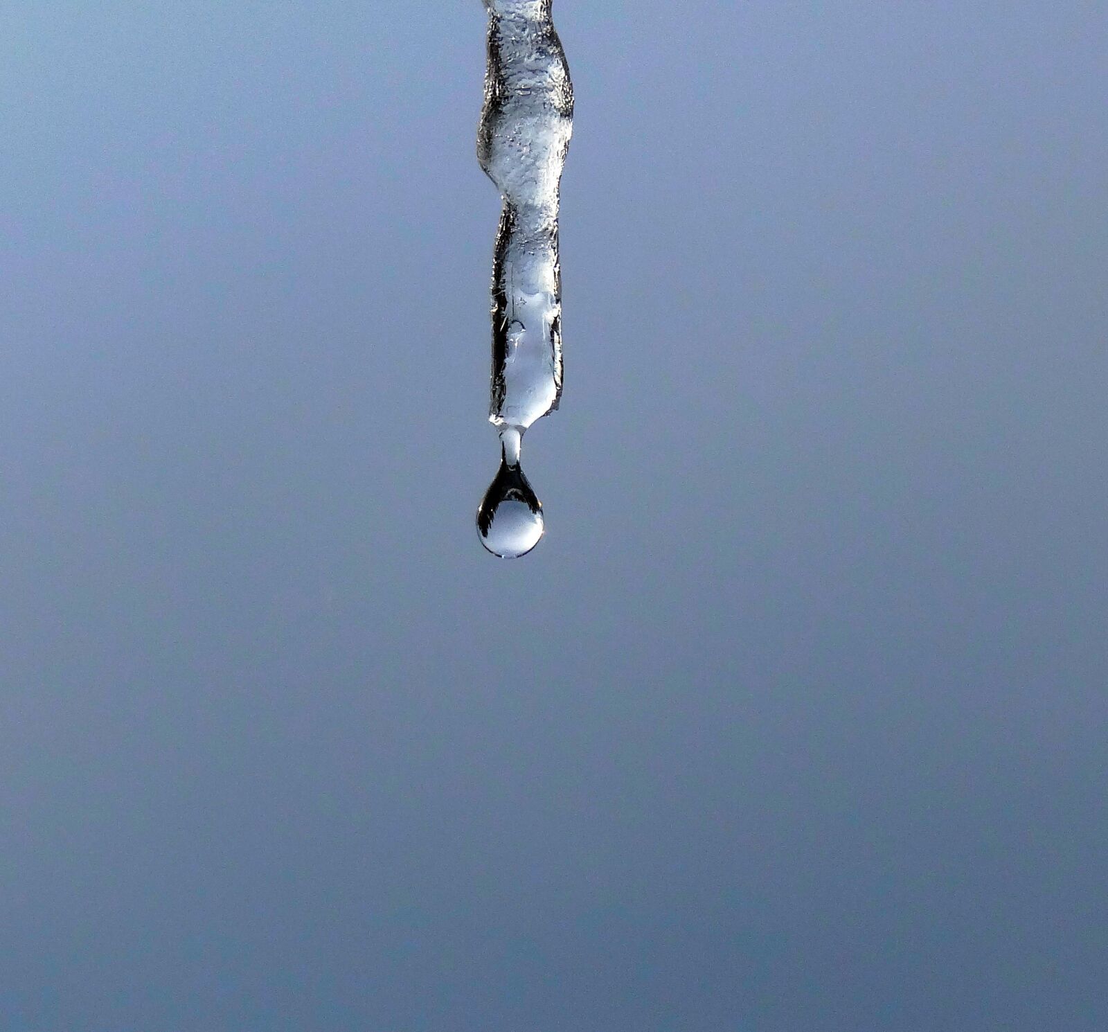 Sony Cyber-shot DSC-HX20V sample photo. Icicle, water, droplet photography