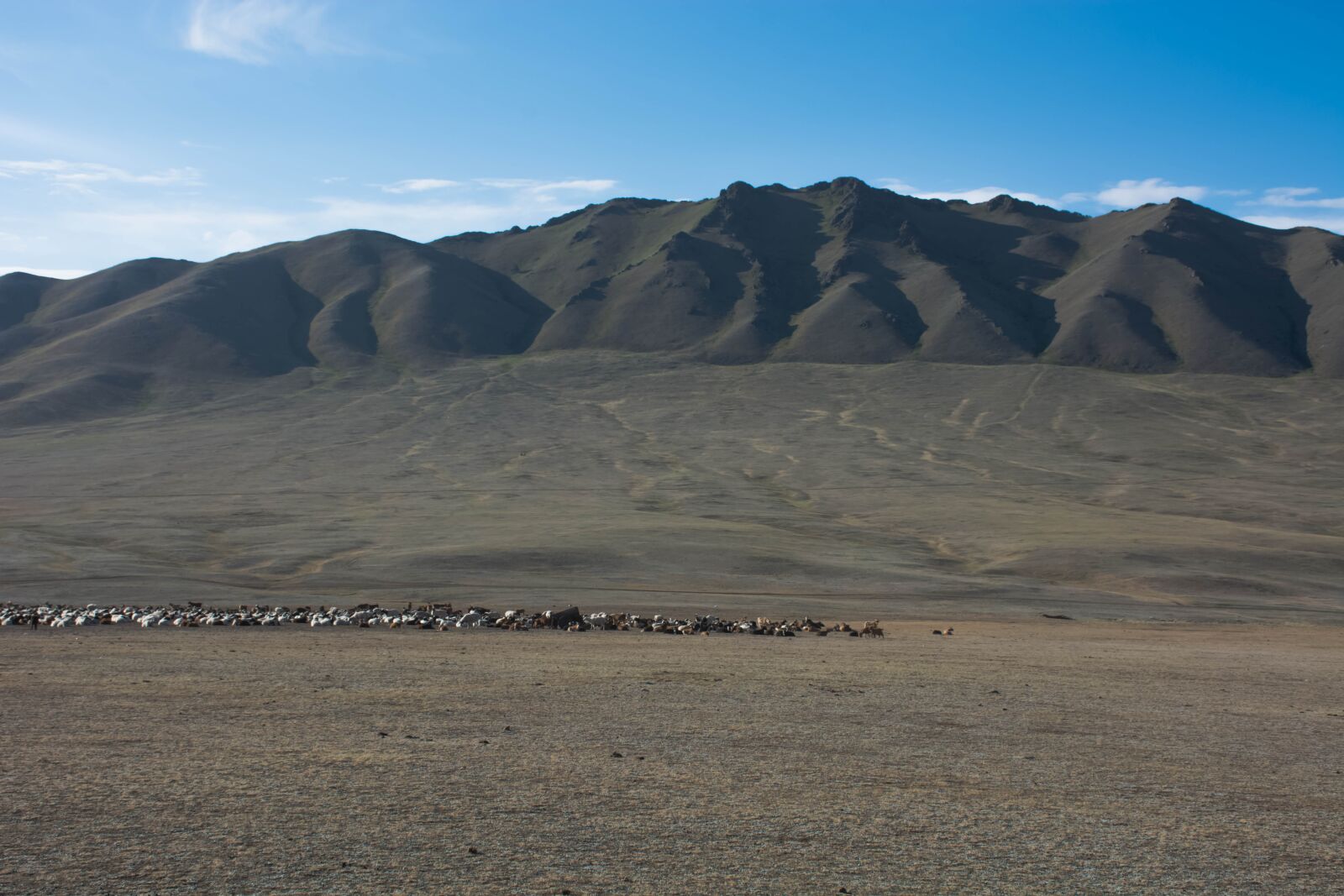 Nikon D7100 sample photo. Mountain, farmer, mongolia photography