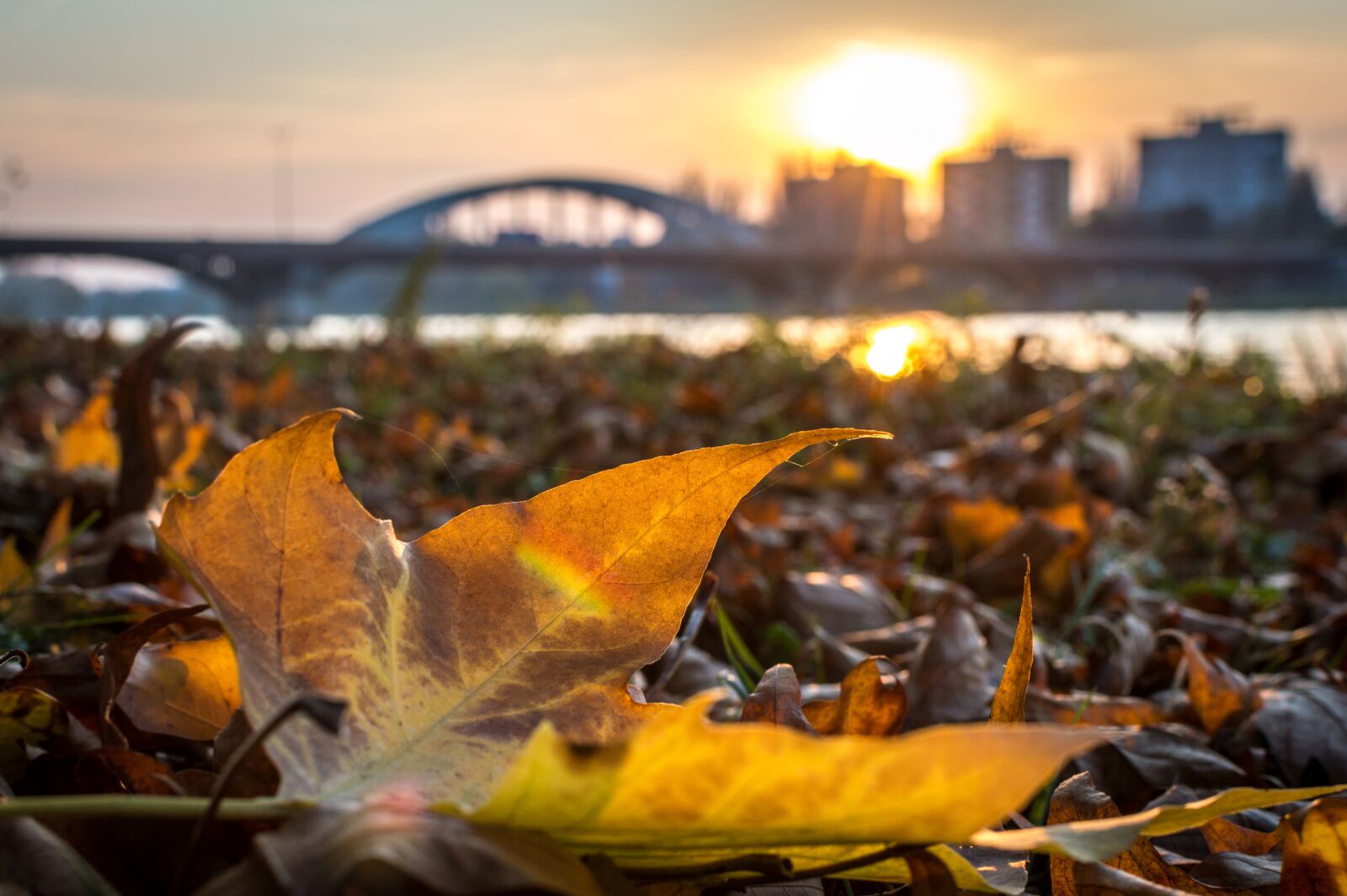 Nikon D3200 sample photo. City, sunset, autumn photography