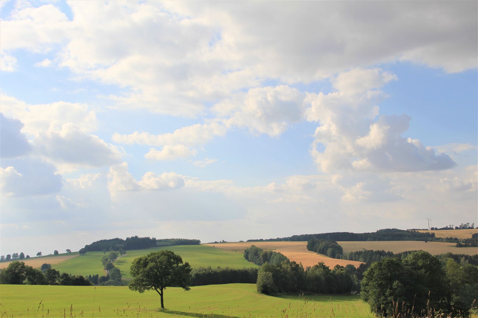Canon EOS 550D (EOS Rebel T2i / EOS Kiss X4) sample photo. Summer, landscape, mountains photography