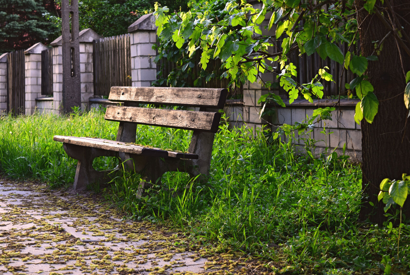 Nikon D3300 sample photo. Bench, bus, stop, spring photography