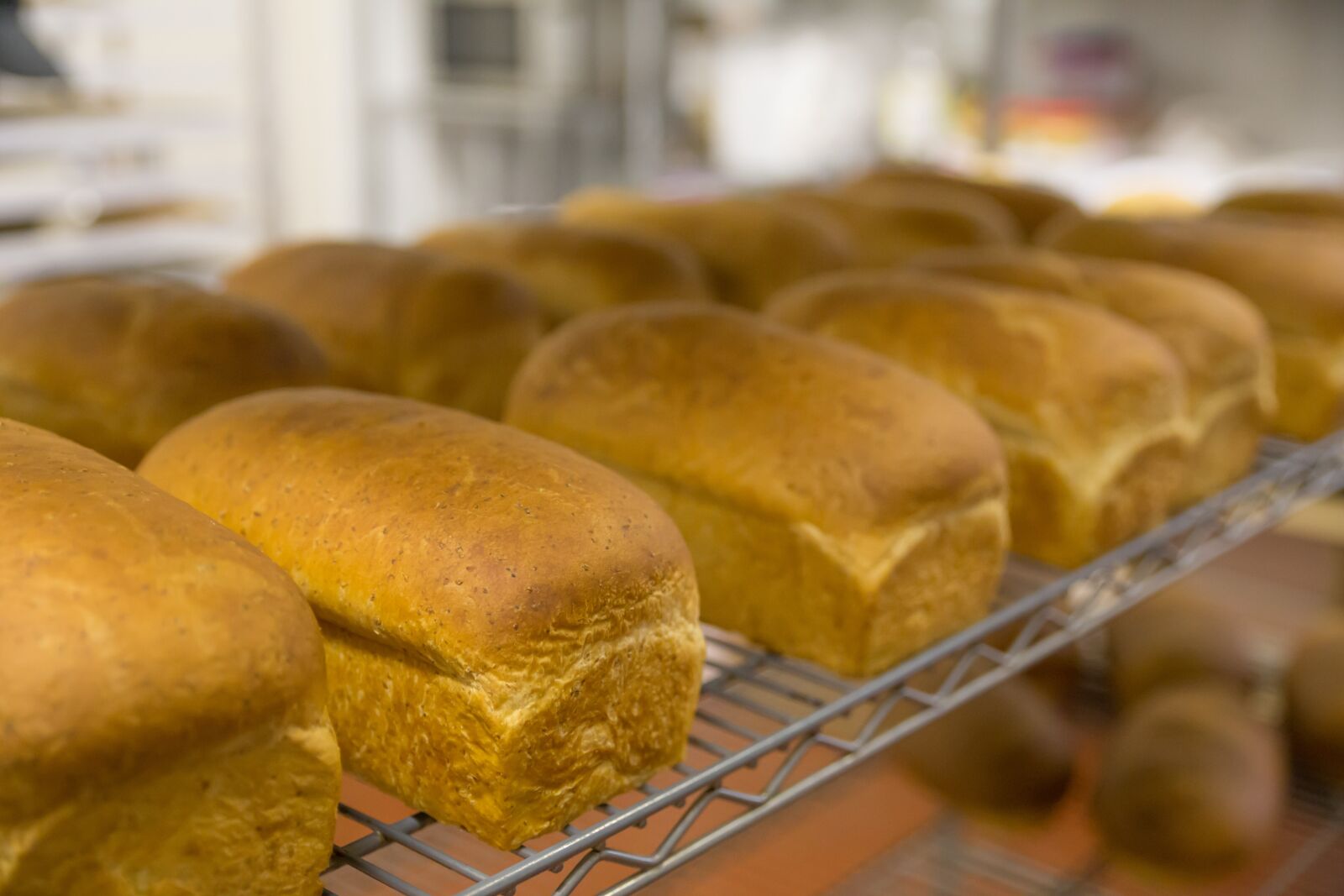 Canon EOS 6D sample photo. Food, bread, bakery photography