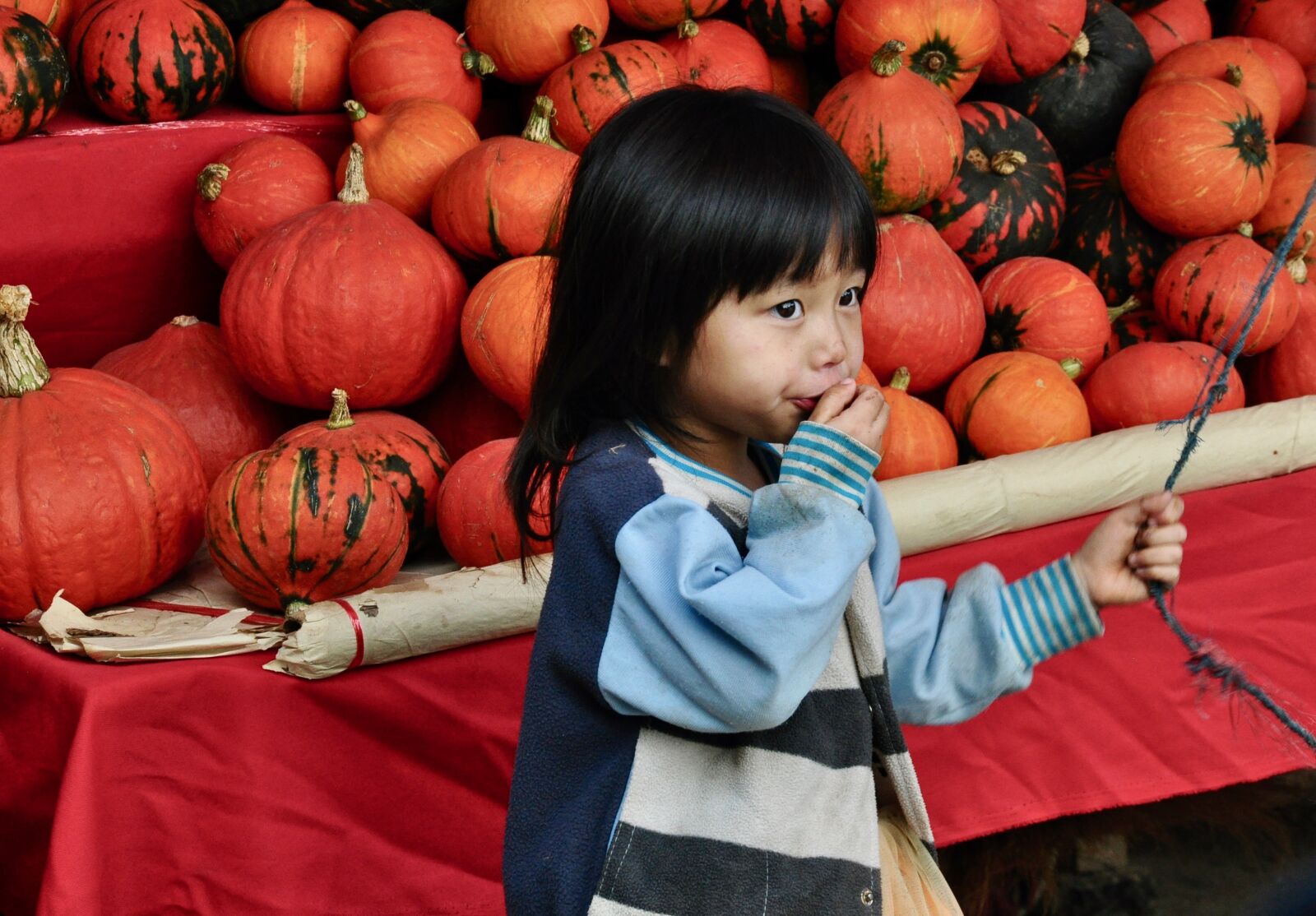 Nikon D5000 sample photo. Asia, thailand, child photography