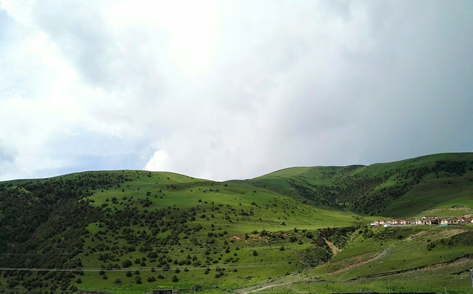 HUAWEI P8 sample photo. Grassland, altitude height, alpine photography