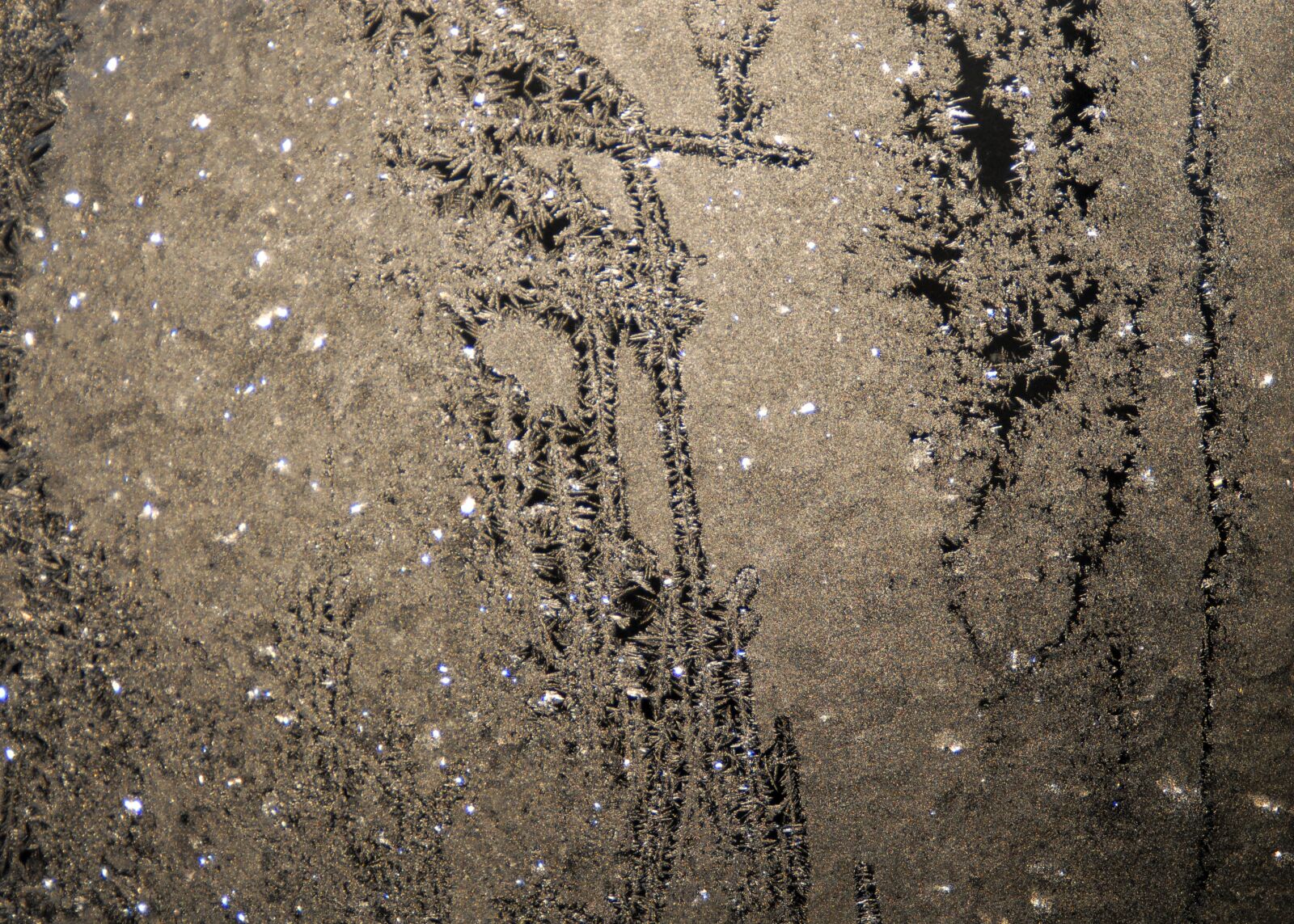 Nikon D200 sample photo. Hardest, texture, iced photography