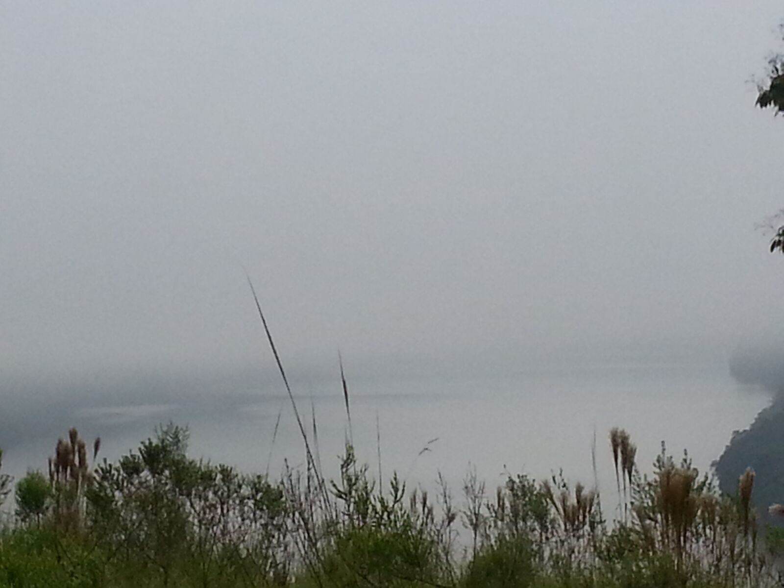 Samsung Galaxy Note2 sample photo. Brazil, nature, winter photography