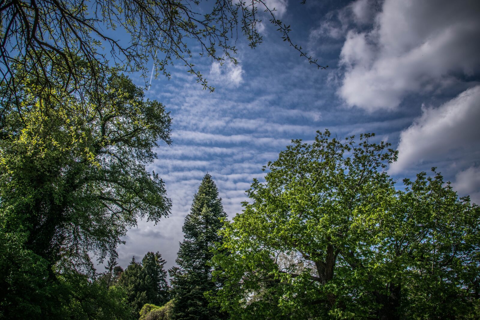 Nikon D5300 sample photo. Landscape, sky, clouds photography