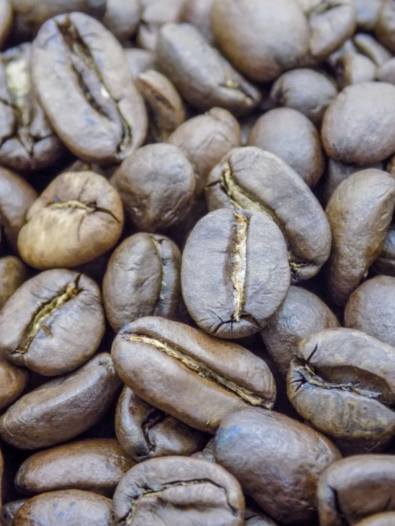 Nikon COOLPIX L330 sample photo. Coffee, grains, black photography