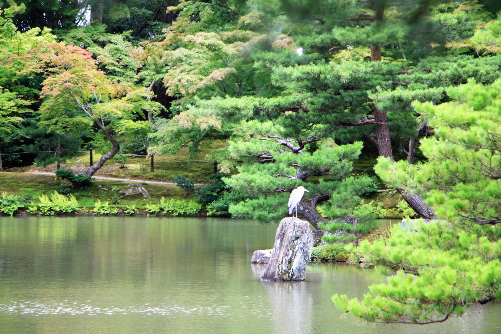 Canon EOS 50D sample photo. Zen, garden, japan photography