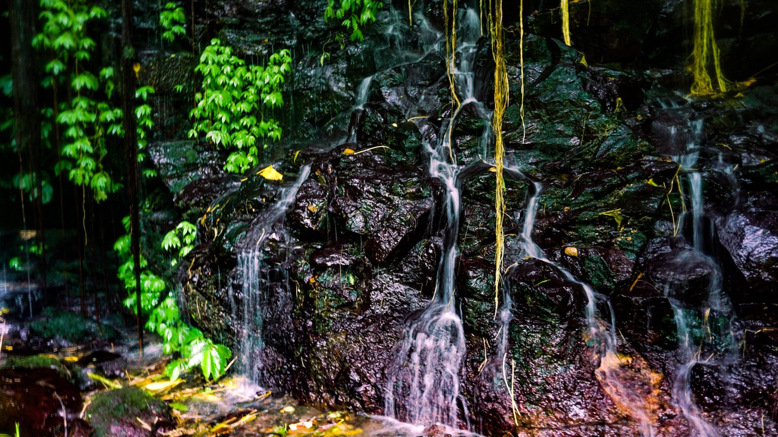 Sony a6000 sample photo. Wallpaper, water, nature photography