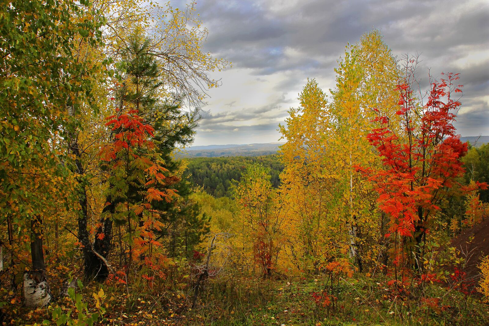 Canon EOS 550D (EOS Rebel T2i / EOS Kiss X4) sample photo. Landscape, autumn, nature photography