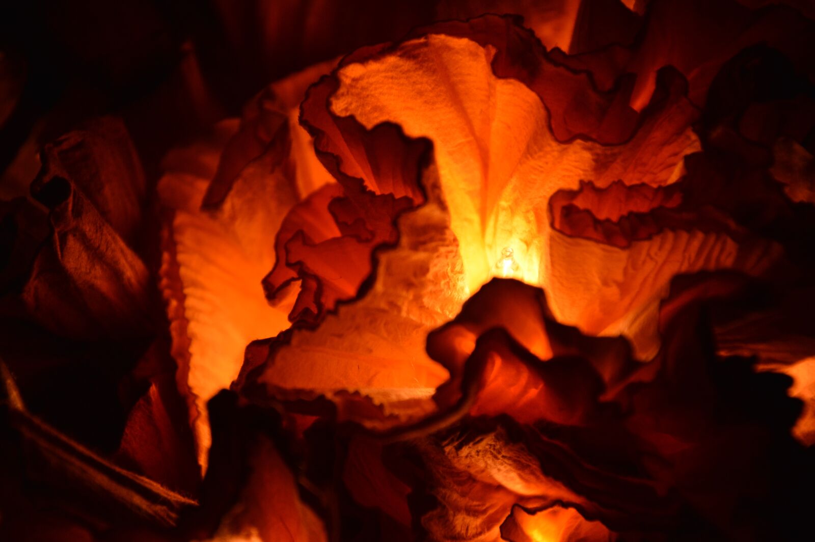Nikon D3200 sample photo. Lichterkette, christmas, advent photography