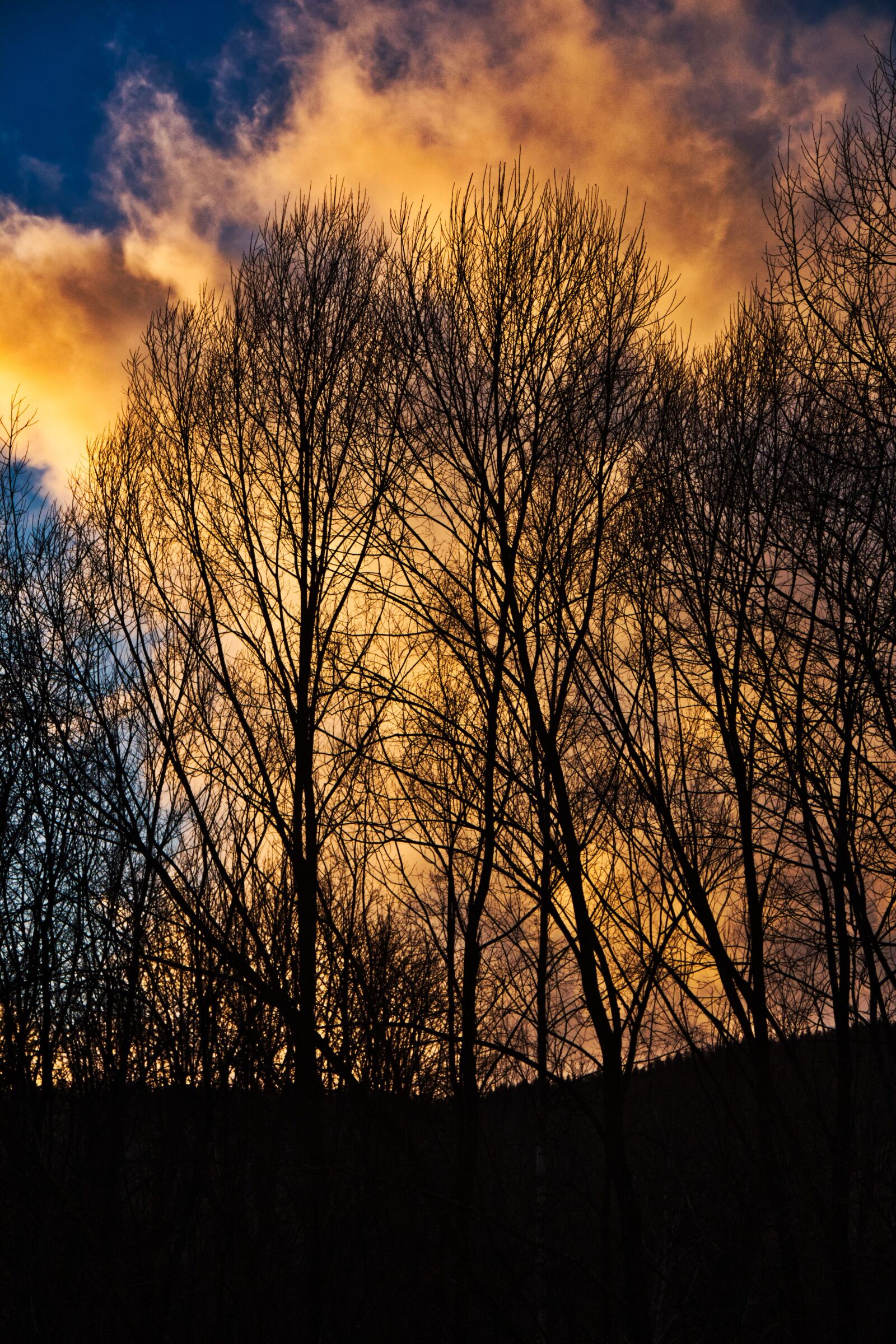 Canon EOS 700D (EOS Rebel T5i / EOS Kiss X7i) sample photo. Trees, sunset, landscape photography