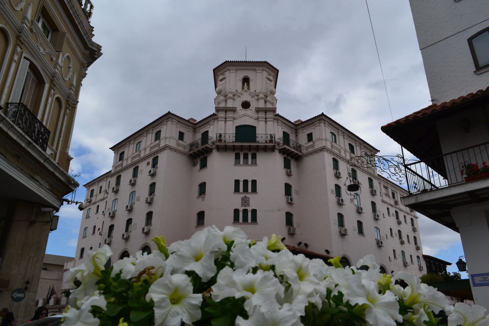 Nikon D3100 sample photo. Argentina, city, flower photography