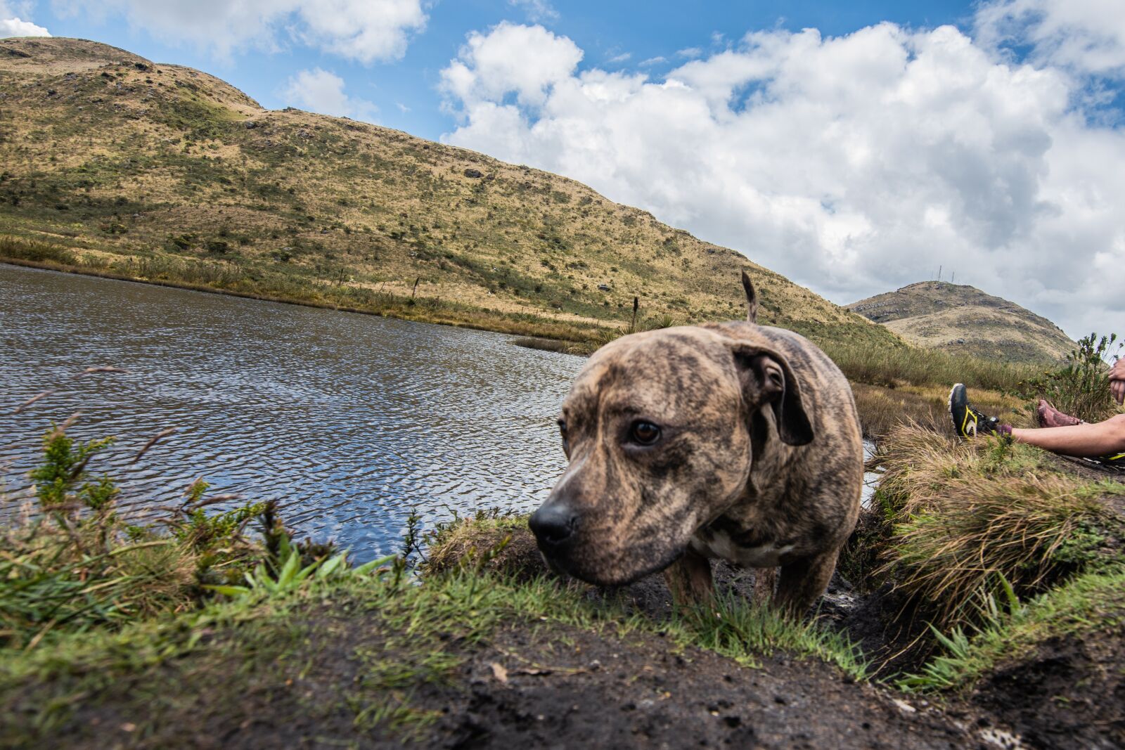 Nikon D5600 sample photo. Kill round, paramo, lake photography