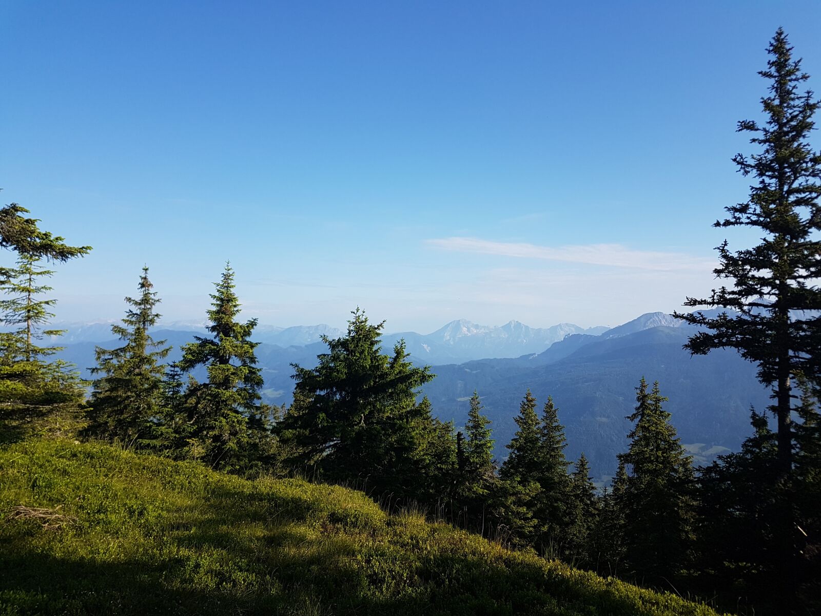 Samsung Galaxy S7 Edge sample photo. Mountains, forest, landscape photography