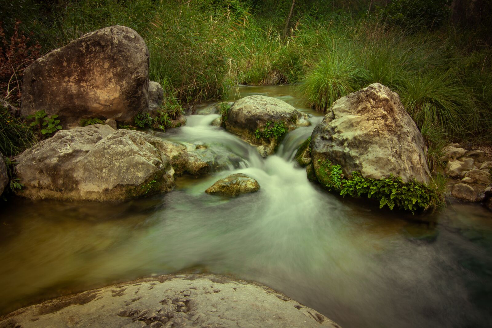 Tokina AT-X Pro 11-16mm F2.8 DX II sample photo. River, murcia, moratalla photography