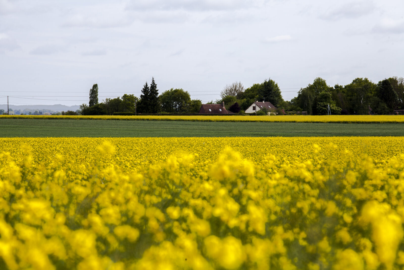 Canon EF 70-200mm F4L IS USM sample photo. Country, field, country, land photography