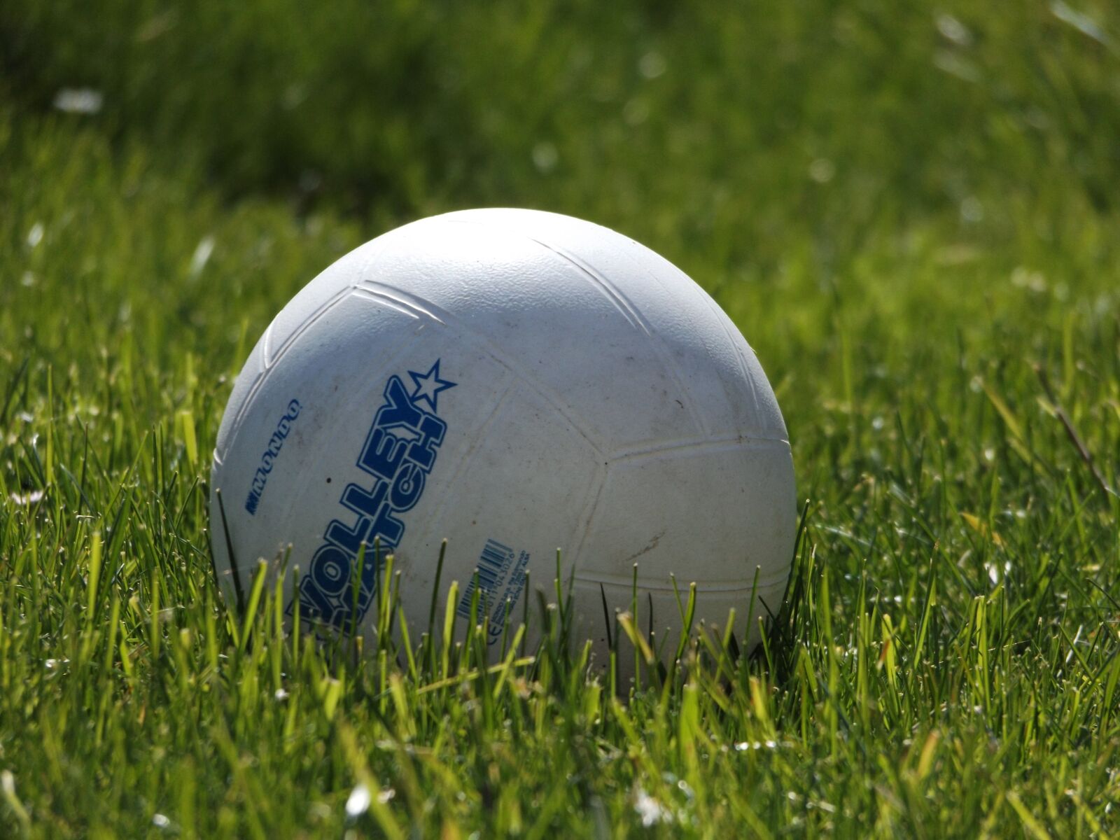 Fujifilm FinePix S8600 sample photo. Ball, round, grass photography