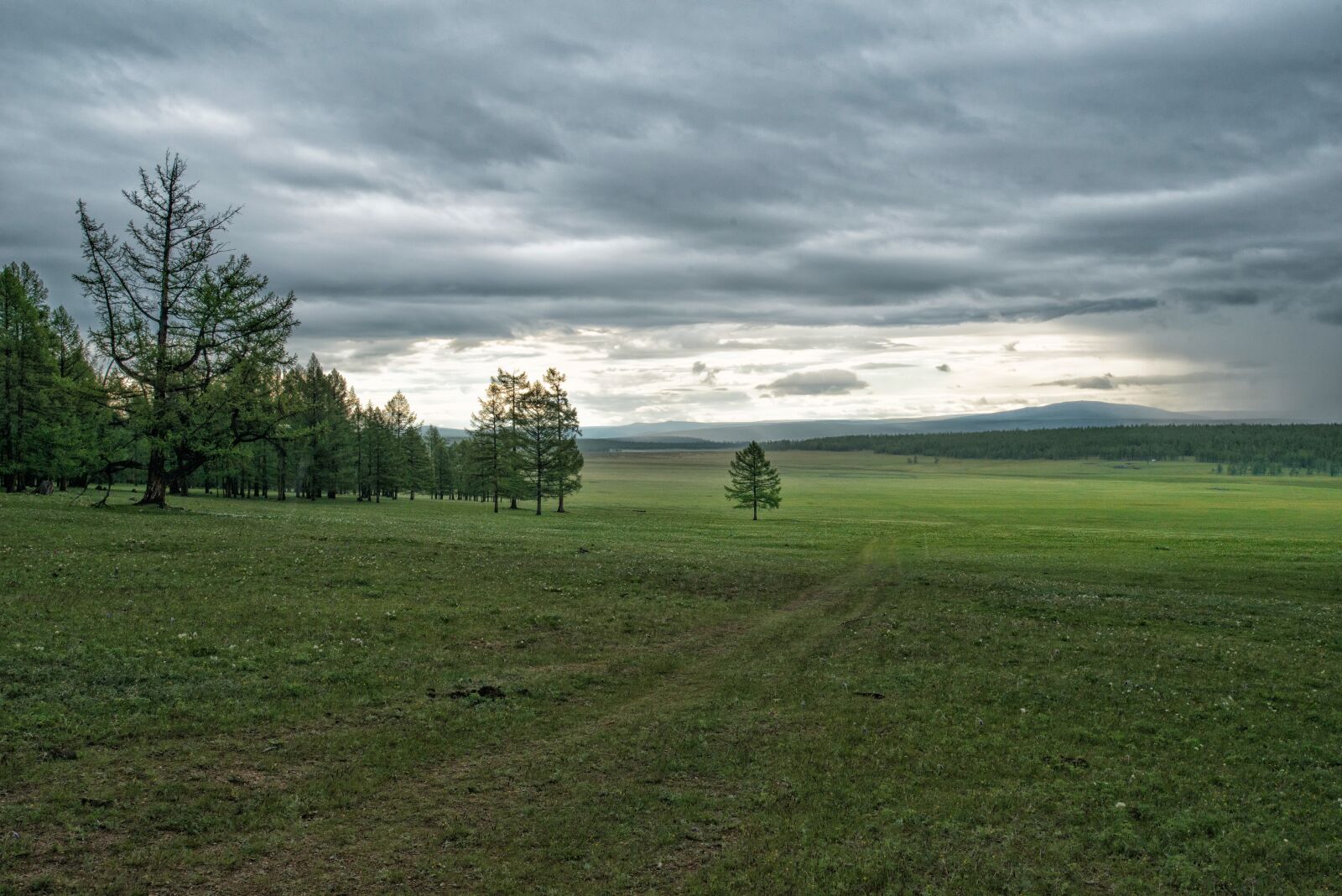Nikon D800E sample photo. Landscape, meadow and forest photography